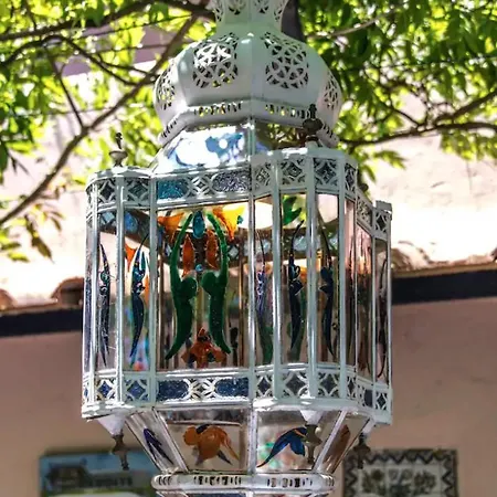 Gasthuis La Casa Nel Bosco Capri