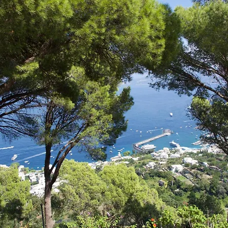 Affittacamere La Casa Nel Bosco 3*