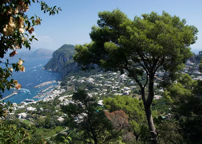 La Casa Nel Bosco Affittacamere Capri