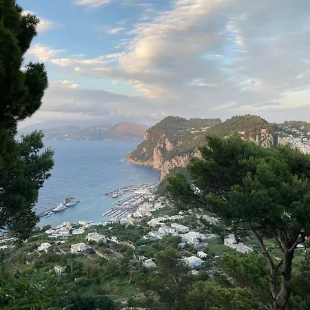 La Casa Nel Bosco Guest house