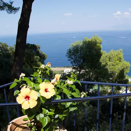Guest house La Casa Nel Bosco