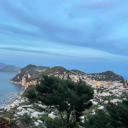 Affittacamere La Casa Nel Bosco Capri