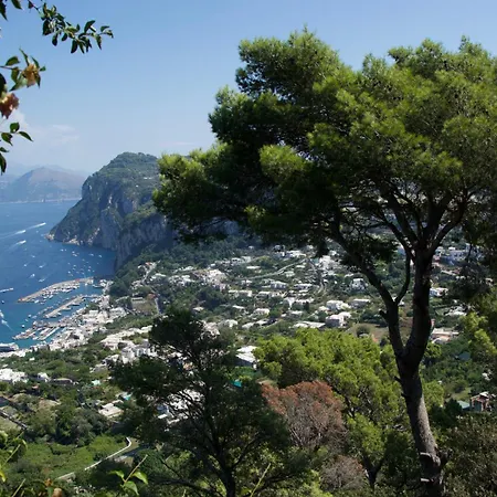 La Casa Nel Bosco Guest house Capri