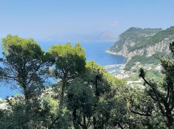 Affittacamere La Casa Nel Bosco 4*