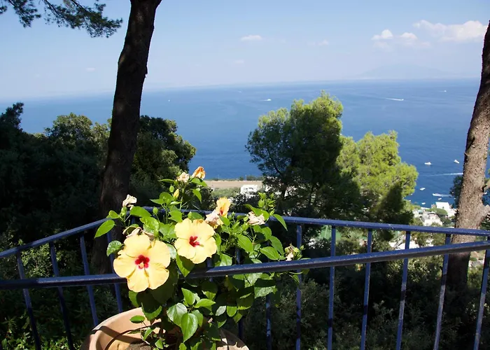 Affittacamere La Casa Nel Bosco